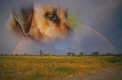 Akimbas Weg ber den Regenbogen